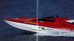 Talon 25 